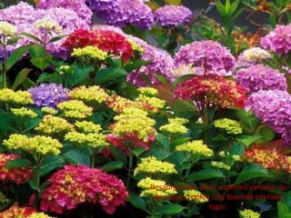 Desabrocham, além, espécies variadas da
flora que o pólen feliz fecunda em todo
lugar.
 