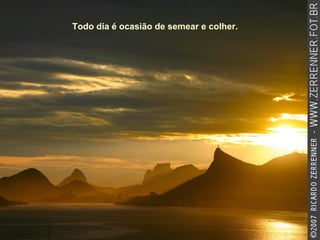 Todo dia é ocasião de semear e colher.   