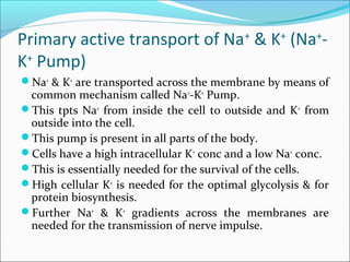 Na k pump | PPT