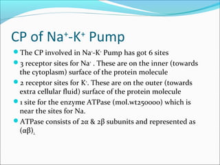 Na k pump | PPT