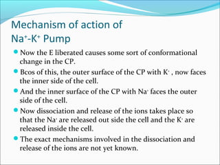 Na k pump | PPT