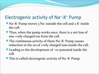 Na k pump | PPT