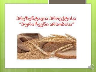 პრეზენტაცია
 პურის მოყვანა
 