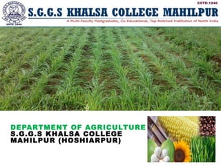 DEPARTMENT OF AGRICULTURE
S.G.G.S KHALSA COLLEGE
MAHILPUR (HOSHIARPUR)
 