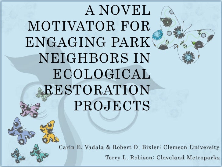 NAA Conference Presentation