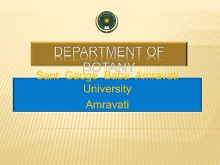 Sant Gadge Baba Amravati
University
Amravati
 