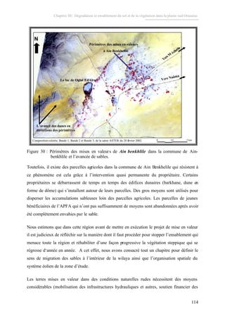 Chapitre III : Dégradation et ensablement du sol et de la végétation dans la plaine sud Oranaise.
114
Composition colorée, Bande 1, Bande 2 et Bande 3, de la scène ASTER du 28 février 2002.
Périmètres des mises en valeurs
à Ain Benkhelile
Le lac de Oglat EdAïra
L’avancé des dunes en
directions des périmètres
VersM
écheria
Vers Naâma
Périmètres des mises en valeurs
à Ain Benkhelile
Le lac de Oglat EdAïra
L’avancé des dunes en
directions des périmètres
VersM
écheria
Vers Naâma
N
0 2.5 5 kmComposition colorée, Bande 1, Bande 2 et Bande 3, de la scène ASTER du 28 février 2002.
Périmètres des mises en valeurs
à Ain Benkhelile
Le lac de Oglat EdAïra
L’avancé des dunes en
directions des périmètres
VersM
écheria
Vers Naâma
Périmètres des mises en valeurs
à Ain Benkhelile
Le lac de Oglat EdAïra
L’avancé des dunes en
directions des périmètres
VersM
écheria
Vers Naâma
NN
0 2.5 5 km
Figure 30 : Périmètres des mises en valeurs de Ain benkhlile dans la commune de Ain-
benkhlile et l’avancée de sables.
Toutefois, il existe des parcelles agricoles dans la commune de Ain Benkhelile qui résistent à
ce phénomène est cela grâce à l’intervention quasi permanente du propriétaire. Certains
propriétaires se débarrassent de temps en temps des édifices dunaires (barkhane, dune en
forme de dôme) qui s’installent autour de leurs parcelles. Des gros moyens sont utilisés pour
disperser les accumulations sableuses loin des parcelles agricoles. Les parcelles de jeunes
bénéficiaires de l’APFA qui n’ont pas suffisamment de moyens sont abandonnées après avoir
été complètement envahies par le sable.
Nous estimons que dans cette région avant de mettre en exécution le projet de mise en valeur
il est judicieux de réfléchir sur la manière dont il faut procéder pour stopper l’ensablement qui
menace toute la région et réhabiliter d’une façon progressive la végétation steppique qui se
régresse d‘année en année. A cet effet, nous avons consacré tout un chapitre pour définir le
sens de migration des sables à l’intérieur de la wilaya ainsi que l’organisation spatiale du
système éolien de la zone d’étude.
Les terres mises en valeur dans des conditions naturelles rudes nécessitent des moyens
considérables (mobilisation des infrastructures hydrauliques et autres, soutien financier des
 