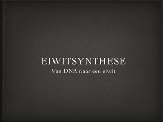 EIWITSYNTHESE
Van DNA naar een eiwit
 