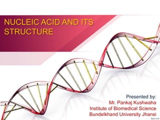 NUCLEIC ACID AND ITS
STRUCTURE
Presented by:
Mr. Pankaj Kushwaha
Institute of Biomedical Science
Bundelkhand University Jhansi
 