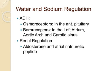 Water and Sodium Regulation
 ADH:
 Osmoreceptors: In the ant. pituitary
 Baroreceptors: In the Left Atrium,
Aortic Arch and Carotid sinus
 Renal Regulation
 Aldosterone and atrial natriuretic
peptide
 