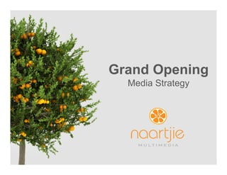 88
Grand Opening
Media Strategy
 