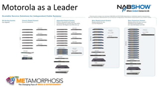 Motorola as a Leader
 