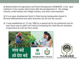 Nababrd | PDF