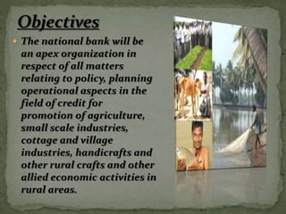  The national bank will be
 an apex organization in
 respect of all matters
 relating to policy, planning
 operational aspects in the
 field of credit for
 promotion of agriculture,
 small scale industries,
 cottage and village
 industries, handicrafts and
 other rural crafts and other
 allied economic activities in
 rural areas.
 