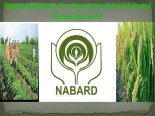 National Bank for Agricultural and Rural
            Development
 