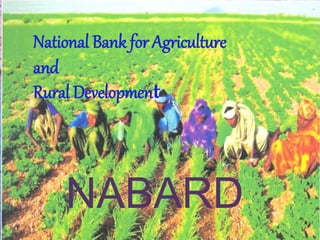 National Bank for Agriculture 
and 
Rural Development 
NABARD 
 