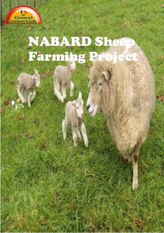 NABARD Sheep
Farming Project
 