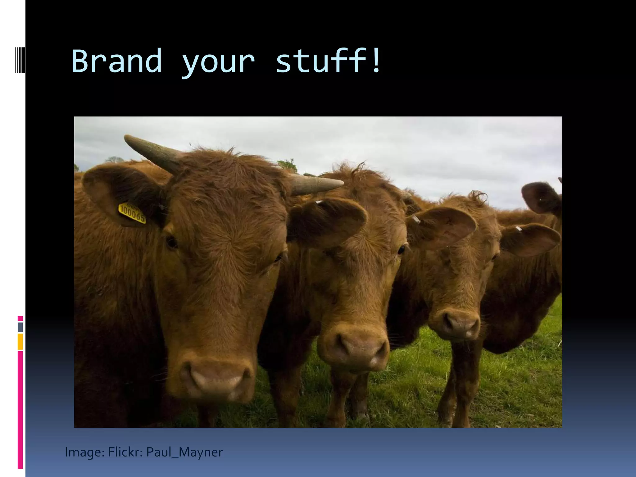 “It is better to have enough ideas for some of them to be wrong, than to be always right by having no ideas at all.” — Edward de BonoThe road ahead