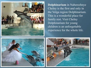 Dolphinarium in Naberezhnye
Chelny is the first and only in
the Volga region Dolphinarium.
This is a wonderful place for
family rest. Visit Chelny
Dolphinarium for young
children is an unforgettable
experience for the whole life.
 