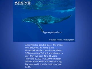 Nabeu Antarctica | PPT