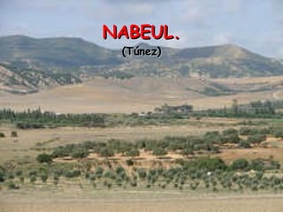 NABEUL. (Túnez) 