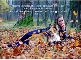 Observe a natureza, abençoando sem cessar, através das
próprias forças em movimentos.
Nascem frutas saborosas em árvores cujas raízes se prendem à
lama...
 