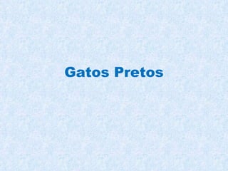 Gatos Pretos 