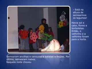 - Está na altura de semearmos os legumes!Havia sol e calor, flores e borboletas. Então, o velhinho e a velhinha foram para a horta.Semearam ervilhas e cenouras e batatas e feijões. Por último, semearam nabos.Naquela noite choveu