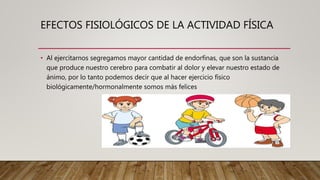 EFECTOS FISIOLÓGICOS DE LA ACTIVIDAD FÍSICA
• Al ejercitarnos segregamos mayor cantidad de endorfinas, que son la sustancia
que produce nuestro cerebro para combatir al dolor y elevar nuestro estado de
ánimo, por lo tanto podemos decir que al hacer ejercicio físico
biológicamente/hormonalmente somos más felices
 