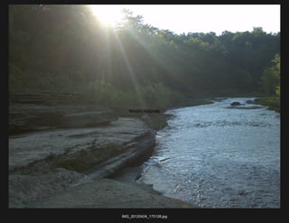 Nova's Naturals




IMG_20120424_175128.jpg
 