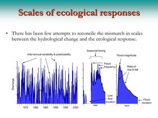 Scales of ecological responses

• There has been few attempts to reconcile the mismatch in scales
  between the hydrological change and the ecological response.

                                                                                  Seasonal timing
                   Inter-annual variability & predictability                                                       Flood magnitude

    50                                                                50                               Flood 50
    10                                                                                                 frequency           Rate of
                                                                      10                                                   rise & fall
                                                                                                             10
         1                                                            1
   Discharge




   0.1                                                            0.1
                                                                                                              1
  0.01                                                           0.01                                    Low
                                                                                                         flow                             Flood
                                                                                                       duration                          duration
 0.001                                                          0.001                                       0.1
                                                                                         1990                            April
                                                                              m



                                                                                           n



                1975    1980     1985      1990     1995       2000
                                                                                                   r
                                                                                     t
                                                                                  Au



                                                                                                Sp
                                                                                         Wi
                                                                           Su
 