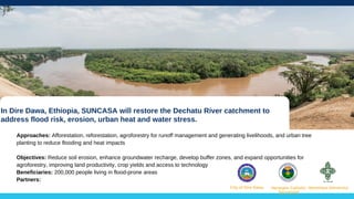 Dawa Tree NAbSA Dialogues | Green Infrastructures for Urban Resilience | PDF