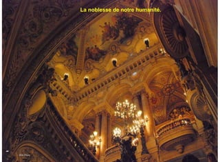 La noblesse de notre humanité.




-   - Miki Pitish
 