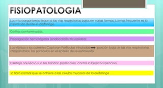 Los microorganismos llegan a las vías respiratorias bajas en varias formas. La mas frecuente es la
aspiración desde la orofaringe.
Gotitas contaminadas.
Propagación hematógena (endocarditis tricuspidea)
Las vibrisas y los cornetes Capturan Partículas Inhaladas porción baja de las vías respiratorias
atrapándolas las partículas en el epitelio de revestimiento
El reflejo nauseoso y la tos brindan protección contra la broncoaspiracion.
la flora normal que se adhiere a las células mucosas de la orofaringe
 