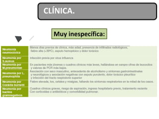 CLÍNICA.
Muy inespecífica:
• Clínica de infección de vías bajas con afectación
sistémica.
• Fiebre (>38 °C).
• Tos.
• Expe...