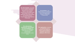 Vía descendente: asociado
con un cuadro respiratorio
generalmente viral alto
previo y que existen
condiciones favorables para
que pueda ocurrir. Los
gérmenes más relacionados
son Streptococcus
Pneumoniae y Haemophilus
Influenzae.
Vía hemática: más
relacionado con patógenos
como Staphylococcus
Aereus y Klebsiella
Pneumoniae.
Por alteraciones
anatómicas, funcionales
y/o inmunológicas: se
relaciona con patologías
como fibrosis quística,
tratamientos
inmunosupresores, entre
otros.
Por aspiración: se asocia
con alteración en la
mecánica de deglución,
reflujo gastroesofágico,
episodios agudos de
epilepsia, entre otros.
 