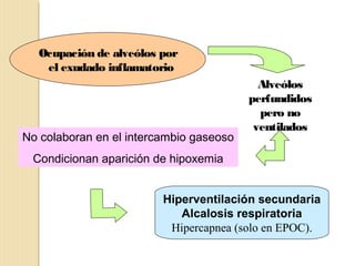 Ocupación de alveólos por
el exudado inflamatorio

No colaboran en el intercambio gaseoso

Alveólos
perfundidos
pero no
ventilados

Condicionan aparición de hipoxemia
Hiperventilación secundaria
Alcalosis respiratoria
Hipercapnea (solo en EPOC).

 
