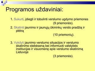 Programos uždaviniai: 1.  Sukurti , įdiegti ir tobulinti verslumo ugdymo priemones (9 priemonės).  2.  Skatinti  jaunimo ir jaunųjų ūkininkų   verslo pradžią ir plėtrą (10 priemonių).  3.  Vykdyti  jaunimo verslumo situacijos ir verslumo skatinimo stebėseną bei informuoti valstybės institucijas ir visuomenę apie verslumo skatinimą Lietuvoje (3 priemonės). 