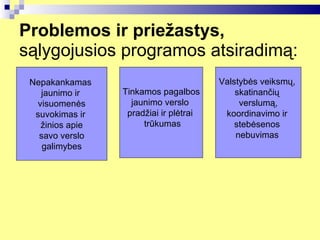 Problemos ir priežastys,  sąlygojusios programos atsiradimą: Nepakankamas  jaunimo ir  v isuomenės suvokimas ir  žinios apie savo verslo galimybes Tinkamos pagalbos jaunimo verslo  pradžiai  i r plėtrai  trūkumas Valstybės veiksmų,  s katinančių  verslumą, koordinavimo ir  stebėsenos  nebuvimas   