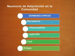 Neumonía de Adquisición en la
Comunidad
GERMENES ATIPICOS
Mycoplasma
Chlamydophilia
Legionella
Viral.
Hongos
 