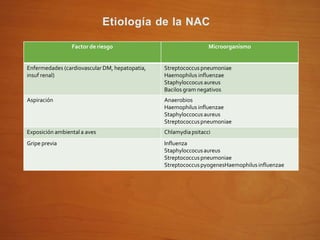 Etiología de la NAC
Factor de riesgo Microorganismo
Enfermedades (cardiovascular DM, hepatopatia,
insuf renal)
Streptococcus pneumoniae
Haemophilus influenzae
Staphyloccocus aureus
Bacilos gram negativos
Aspiración Anaerobios
Haemophilus influenzae
Staphyloccocusaureus
Streptococcuspneumoniae
Exposición ambientala aves Chlamydiapsitacci
Gripe previa Influenza
Staphyloccocusaureus
Streptococcuspneumoniae
StreptococcuspyogenesHaemophilus influenzae
 