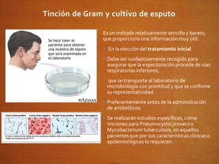 Tinción de Gram y cultivo de esputo
Es un método relativamente sencillo y barato,
que proporciona una información muy útil:
• En la elección del tratamiento inicial
• Debe ser cuidadosamente recogido para
asegurar que la expectoración procede de vías
respiratorias inferiores,
• que se transporte al laboratorio de
microbiología con prontitud y que se confirme
su representatividad.
• Preferentemente antes de la administración
de antibióticos.
• Se realizarán estudios específicos, como
tinciones para Pneumocystis jiroveciio
Mycobacterium tuberculosis, en aquellos
pacientes que por sus características clínicas o
epidemiológicas lo requieran.
 