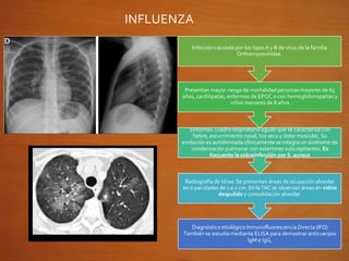 INFLUENZA
Diagnóstico etiológico:Inmunofluorescencia Directa (IFO)
Tambiénse estudia mediante ELISA para demostrar anticuerpos
IgM e IgG,
Radiografía de tórax: Se presentan áreas de ocupación alveolar
en o pacidades de 1 a 2 cm. En laTAC se observan áreas en vidrio
despulido y consolidación alveolar.
Síntomas: cuadrorespiratorio agudo que se caracteriza con
fiebre, escurrimiento nasal, tos seca y dolor muscular, Su
evolución es autolimitada clínicamente se integra un síndrome de
condensación pulmonar con estertores subcrepitantes. Es
frecuente la sobreinfección por S. aureus
Presentan mayor riesgo de mortalidad personas mayores de 65
años, cardiópatas, enfermos de EPOC o con hemoglobinopatíasy
niños menores de 8 años
Infección causada por los tiposA y B de virus de la familia
Orthomyxoviridae.
 