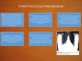 STREPTOCOCCUS PNEUMONIAE
Es la causa principal de NAC en México y el
mundo.Es un coco Gram positivoaerobioy
anaerobio facultativo, encapsulado,
habitantede nasofaringe y orofaringe,
crece en cadenasy es catalasanegativo.
Activa el complemento y produce toxinas
como neumolisina (toxina que degrada la
hemoglobina y causa así hemólisis alfa en
agar-sangre),.
Más de 98% de las cepas de neumococos
son sensibles a la etilhidrocupreína
(optoquina) y prácticamente todas las
colonias de neumococosse disuelvenpor la
acciónde las sales biliares; estasreacciones
son la base para la identificaciónen el
laboratorio.
Inicio súbito, fiebre elevada, 39 a 40C, con
escalofríos, disnea, taquipnea, taquicardia,
tos intensa. Características de la
expectoración: abundante, purulenta,
hemoptoica en el 15%. Características del
dolor: tipo pleuríticoen la exploraciónfísica:
frémito, egofoníay pectoriloquia.
En la radiografiase ve consolidación en el
80%. Puede aparecer una Opacidad lobar
con broncogramaaéreo. Pero en la mitad
de los casos es multilobar y puede existir
derrame pleural; raras veces se genera un
abscesopulmonar
El diagnóstico se debe efectuar una tinción
de Gram de muestra de esputo, una buena
muestra de esputo debe tener > 25
neutrófilos y < 10 células epiteliales por
campo. S. pneumoniaees un Gram positivo,
y al microscopio de luz se observan cocos
alargados distribuidosen parejas y cadenas.
 