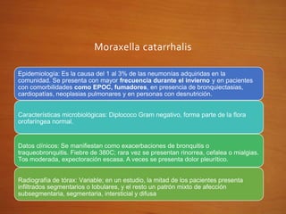 Moraxella catarrhalis
Epidemiología: Es la causa del 1 al 3% de las neumonías adquiridas en la
comunidad. Se presenta con mayor frecuencia durante el invierno y en pacientes
con comorbilidades como EPOC, fumadores, en presencia de bronquiectasias,
cardiopatías, neoplasias pulmonares y en personas con desnutrición.
Características microbiológicas: Diplococo Gram negativo, forma parte de la flora
orofaríngea normal.
Datos clínicos: Se manifiestan como exacerbaciones de bronquitis o
traqueobronquitis. Fiebre de 380C; rara vez se presentan rinorrea, cefalea o mialgias.
Tos moderada, expectoración escasa. A veces se presenta dolor pleurítico.
Radiografía de tórax: Variable; en un estudio, la mitad de los pacientes presenta
infiltrados segmentarios o lobulares, y el resto un patrón mixto de afección
subsegmentaria, segmentaria, intersticial y difusa
 