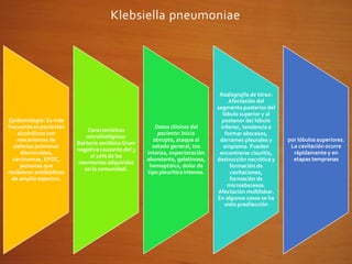 Klebsiella pneumoniae
Epidemiología: Es más
frecuenteen pacientes
alcohólicos con
mecanismos de
defensa pulmonar
disminuidos,
carcinomas, EPOC,
personas que
recibieron antibióticos
de amplio espectro.
Características
microbiológicas:
Bacteria aeróbica Gram
negativacausante del 3
al 10% de las
neumonías adquiridas
en la comunidad.
Datos clínicos del
paciente: Inicio
abrupto, ataque al
estado general, tos
intensa, expectoración
abundante, gelatinosa,
hemoptóica, dolor de
tipo pleuríticointenso.
Radiografía de tórax:
Afectación del
segmento posterior del
lóbulo superior y al
postenor dei lóbulo
inferior, tendencia a
formar abscesos,
derrames pleurales y
empiema. Pueden
encontrarse cisuritis,
destrucción necrótica y
formación de
cavitaciones,
formación de
microabscesos.
Afectación multilobar.
En algunos casos se ha
visto predilección
por lóbulossuperiores.
La cavitación ocurre
rápidamente y en
etapas tempranas
 