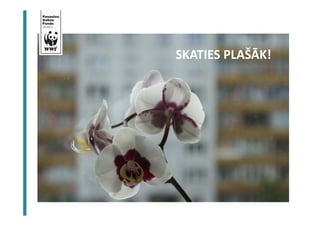 SKATIES PLAŠĀK! 
 