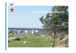 LAIPNI LŪGTI KOPBILDĒ! 
 