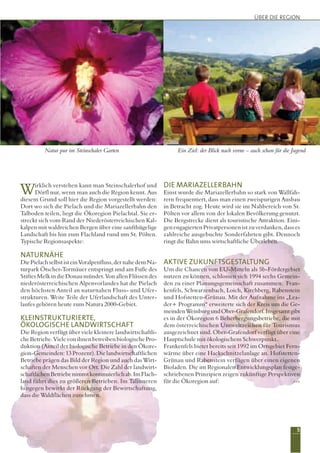 Wirklich verstehen kann man Steinschalerhof und
Dörfl nur, wenn man auch die Region kennt. Aus
diesem Grund soll hier die Region vorgestellt werden:
Dort wo sich die Pielach und die Mariazellerbahn den
Talboden teilen, liegt die Ökoregion Pielachtal. Sie er-
streckt sich vom Rand der Niederösterreichischen Kal-
kalpen mit waldreichen Bergen über eine sanfthügelige
Landschaft bis hin zum Flachland rund um St. Pölten.
Typische Regionsaspekte:
NATURNÄHE
DiePielachselbstisteinVoralpenfluss,dernahedemNa-
turpark Ötscher-Tormäuer entspringt und am Fuße des
Stiftes Melk in die Donau mündet. Von allen Flüssen des
niederösterreichischen Alpenvorlandes hat die Pielach
den höchsten Anteil an naturnahen Fluss- und Ufer-
strukturen. Weite Teile der Uferlandschaft des Unter-
laufes gehören heute zum Natura 2000-Gebiet.
KLEINSTRUKTURIERTE,
ÖKOLOGISCHE LANDWIRTSCHAFT
Die Region verfügt über viele kleinere landwirtschaftli-
cheBetriebe.VielevonihnenbetreibenbiologischePro-
duktion (Anteil der biologische Betriebe in den Ökore-
gion-Gemeinden:13Prozent).Dielandwirtschaftlichen
Betriebe prägen das Bild der Region und auch das Wirt-
schaften der Menschen vor Ort. Die Zahl der landwirt-
schaftlichenBetriebenimmtkontinuierlichab.ImFlach-
land führt dies zu größeren Betrieben. Im Talinneren
hingegen bewirkt der Rückgang der Bewirtschaftung,
dass die Waldflächen zunehmen.
DIE MARIAZELLERBAHN
Einst wurde die Mariazellerbahn so stark von Wallfah-
rern frequentiert, dass man einen zweispurigen Ausbau
in Betracht zog. Heute wird sie im Nahbereich von St.
Pölten vor allem von der lokalen Bevölkerung genutzt.
Die Bergstrecke dient als touristische Attraktion. Eini-
gen engagierten Privatpersonen ist zu verdanken, dass es
zahlreiche ausgebuchte Sonderfahrten gibt. Dennoch
ringt die Bahn ums wirtschaftliche Überleben.
AKTIVE ZUKUNFTSGESTALTUNG
Um die Chancen von EU-Mitteln als 5b-Fördergebiet
nutzen zu können, schlossen sich 1994 sechs Gemein-
den zu einer Planungsgemeinschaft zusammen: Fran-
kenfels, Schwarzenbach, Loich, Kirchberg, Rabenstein
und Hofstetten-Grünau. Mit der Aufnahme ins „Lea-
der+ Programm“ erweiterte sich der Kreis um die Ge-
meindenWeinburgundOber-Grafendorf.Insgesamtgibt
es in der Ökoregion 6 Beherbergungsbetriebe, die mit
dem österreichischen Umweltzeichen für Tourismus
ausgezeichnet sind. Ober-Grafendorf verfügt über eine
Hauptschule mit ökologischem Schwerpunkt.
Frankenfels bietet bereits seit 1992 im Ortsgebiet Fern-
wärme über eine Hackschnitzelanlage an. Hofstetten-
Grünau und Rabenstein verfügen über einen eigenen
Bioladen. Die im Regionalen Entwicklungsplan festge-
schriebenen Prinzipien zeigen zukünftige Perspektiven
für die Ökoregion auf: »»»
5
Natur pur im Steinschaler Garten Ein Ziel: der Blick nach vorne – auch schon für die Jugend
ÜBER DIE REGION
 