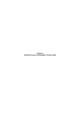 Section 4 
Sufficient Access to Affordable, Formal Credit 
 